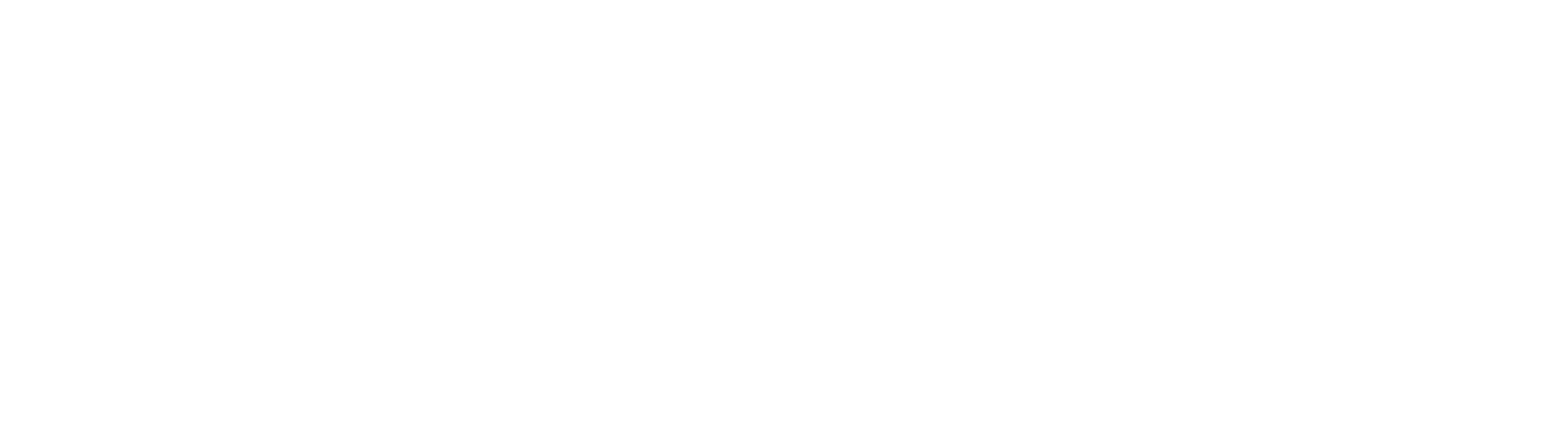 Web3Privacy Logo